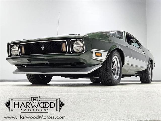 1973 Ford Mustang (CC-2121052) for sale in Cleveland, Ohio