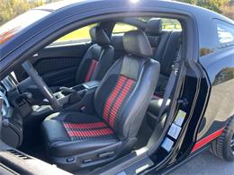 2011 Ford Shelby GT500  (CC-2121104) for sale in Hilton, New York