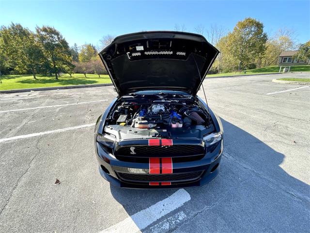 2011 Ford Shelby GT500  (CC-2121104) for sale in Hilton, New York