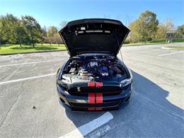 2011 Ford Shelby GT500  (CC-2121104) for sale in Hilton, New York