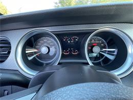 2011 Ford Shelby GT500  (CC-2121104) for sale in Hilton, New York