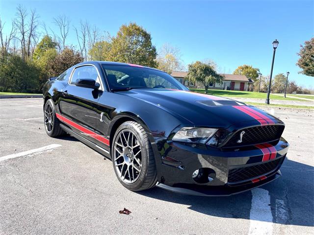 2011 Ford Shelby GT500  (CC-2121104) for sale in Hilton, New York