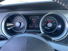 2011 Ford Shelby GT500  (CC-2121104) for sale in Hilton, New York