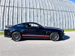2011 Ford Shelby GT500  (CC-2121104) for sale in Hilton, New York