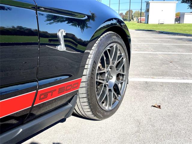 2011 Ford Shelby GT500  (CC-2121104) for sale in Hilton, New York