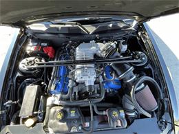 2011 Ford Shelby GT500  (CC-2121104) for sale in Hilton, New York