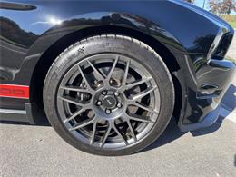 2011 Ford Shelby GT500  (CC-2121104) for sale in Hilton, New York