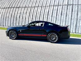 2011 Ford Shelby GT500  (CC-2121104) for sale in Hilton, New York