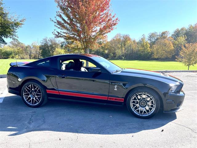 2011 Ford Shelby GT500  (CC-2121104) for sale in Hilton, New York