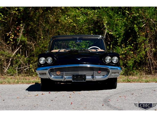 1959 Ford Thunderbird (CC-2121160) for sale in Benson, North Carolina