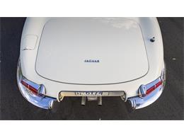 1961 Jaguar E-Type (CC-2121163) for sale in Las Vegas, Nevada