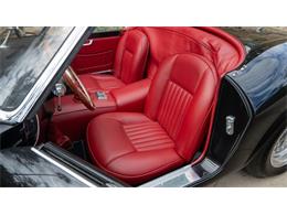 1969 Ferrari 250 (CC-2121170) for sale in Las Vegas, Nevada