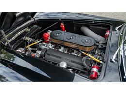 1969 Ferrari 250 (CC-2121170) for sale in Las Vegas, Nevada