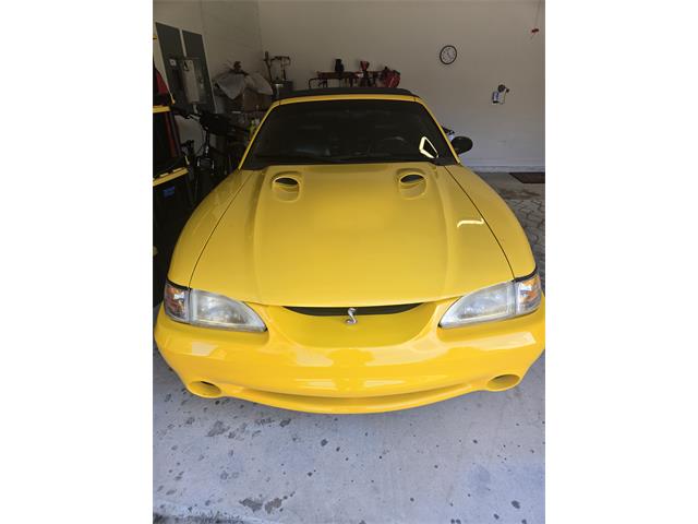 1998 Ford Cobra (CC-2121226) for sale in Kissimmiee, Florida