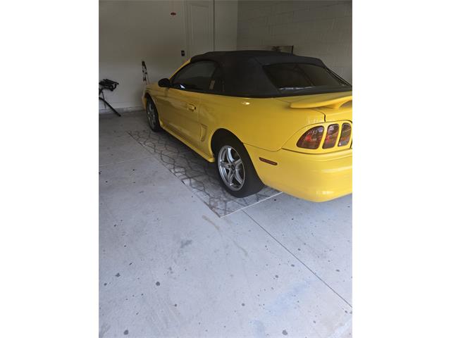 1998 Ford Cobra (CC-2121226) for sale in Kissimmiee, Florida