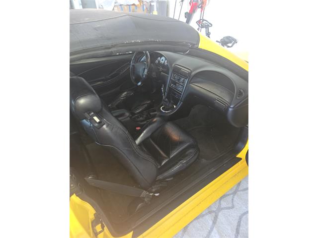 1998 Ford Cobra (CC-2121226) for sale in Kissimmiee, Florida