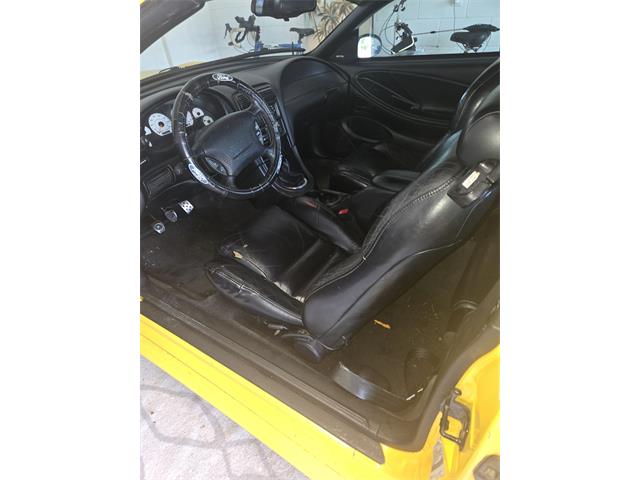 1998 Ford Cobra (CC-2121226) for sale in Kissimmiee, Florida