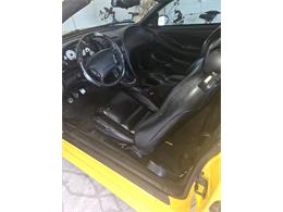 1998 Ford Cobra (CC-2121226) for sale in Kissimmiee, Florida