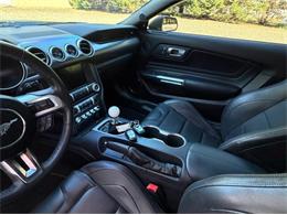 2021 Ford Mustang (CC-2120123) for sale in Newfield, New Jersey