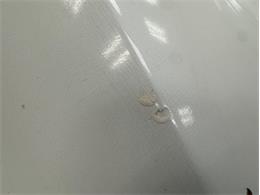 1969 Chevrolet Corvette (CC-2121249) for sale in Morgantown, Pennsylvania