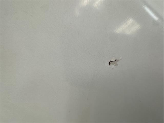 1969 Chevrolet Corvette (CC-2121249) for sale in Morgantown, Pennsylvania