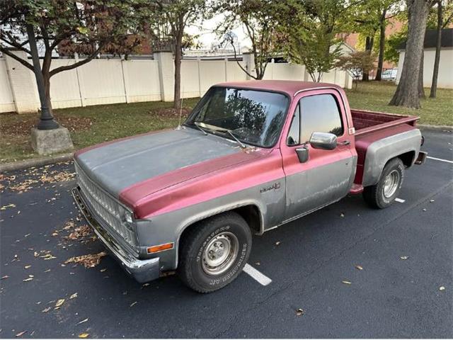 1981 GMC Sierra (CC-2121348) for sale in Cadillac, Michigan