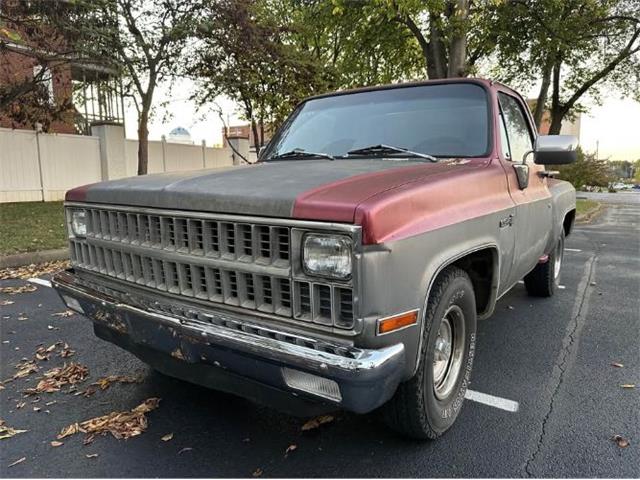 1981 GMC Sierra (CC-2121348) for sale in Cadillac, Michigan