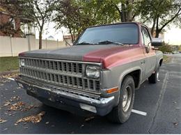 1981 GMC Sierra (CC-2121348) for sale in Cadillac, Michigan