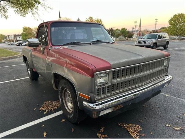 1981 GMC Sierra (CC-2121348) for sale in Cadillac, Michigan