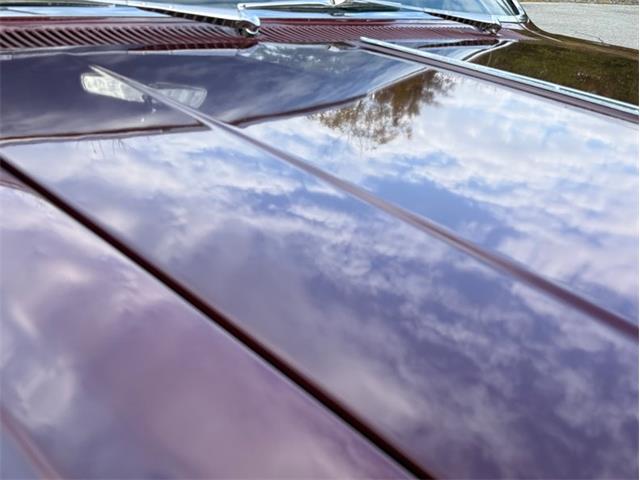 1965 Chevrolet Chevelle (CC-2120141) for sale in Orwigsburg, Pennsylvania