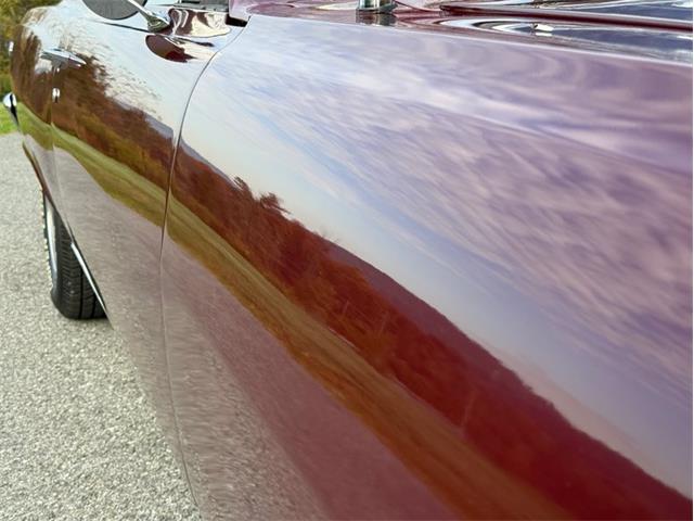 1965 Chevrolet Chevelle (CC-2120141) for sale in Orwigsburg, Pennsylvania