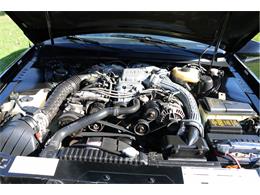 1989 Ford Thunderbird (CC-2121448) for sale in Milllington, Michigan