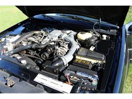 1989 Ford Thunderbird (CC-2121448) for sale in Milllington, Michigan