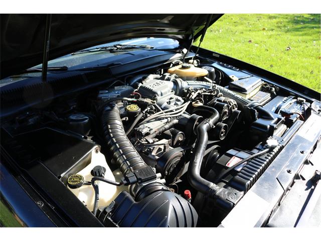 1989 Ford Thunderbird (CC-2121448) for sale in Milllington, Michigan