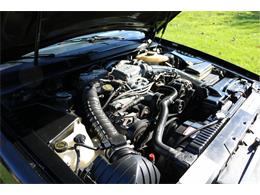 1989 Ford Thunderbird (CC-2121448) for sale in Milllington, Michigan