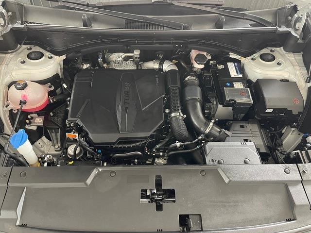 2024 Hyundai Santa Fe (CC-2121453) for sale in Jacksonville, Florida