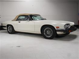 1987 Jaguar XJS (CC-2121463) for sale in Reno, Nevada