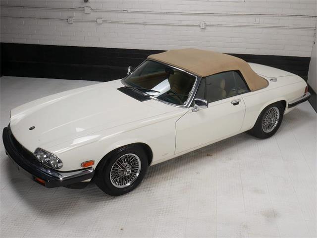1987 Jaguar XJS (CC-2121463) for sale in Reno, Nevada