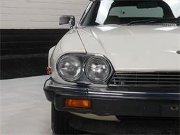 1987 Jaguar XJS (CC-2121463) for sale in Reno, Nevada