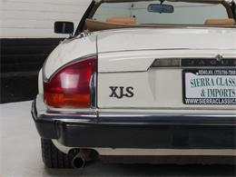 1987 Jaguar XJS (CC-2121463) for sale in Reno, Nevada