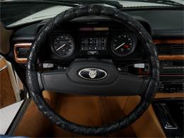 1987 Jaguar XJS (CC-2121463) for sale in Reno, Nevada