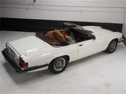 1987 Jaguar XJS (CC-2121463) for sale in Reno, Nevada