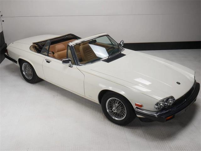 1987 Jaguar XJS (CC-2121463) for sale in Reno, Nevada