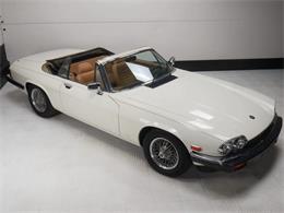 1987 Jaguar XJS (CC-2121463) for sale in Reno, Nevada