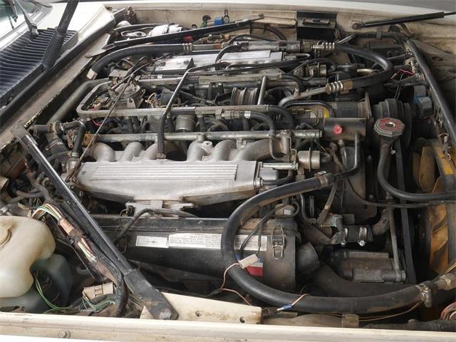 1987 Jaguar XJS (CC-2121463) for sale in Reno, Nevada