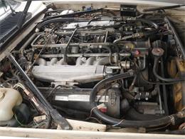 1987 Jaguar XJS (CC-2121463) for sale in Reno, Nevada
