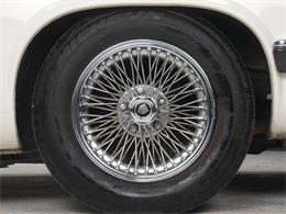 1987 Jaguar XJS (CC-2121463) for sale in Reno, Nevada