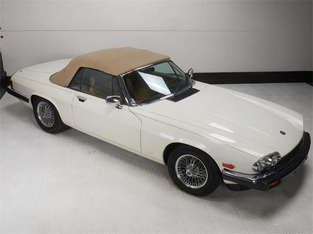 1987 Jaguar XJS (CC-2121463) for sale in Reno, Nevada