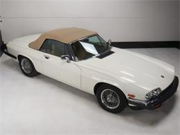 1987 Jaguar XJS (CC-2121463) for sale in Reno, Nevada