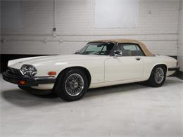 1987 Jaguar XJS (CC-2121463) for sale in Reno, Nevada